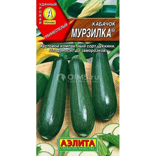 Кабачок цуккини Мурзилка --- ®