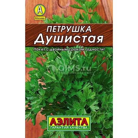 Петрушка листовая Душистая ---