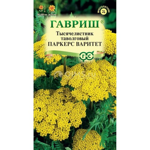 Тысячелистник Паркерс Варитет (желтый)* 0,05 г