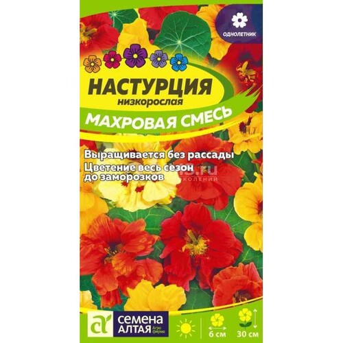 Настурция Махровая Смесь низкоросл./Сем Алт/цп 0,5 гр.