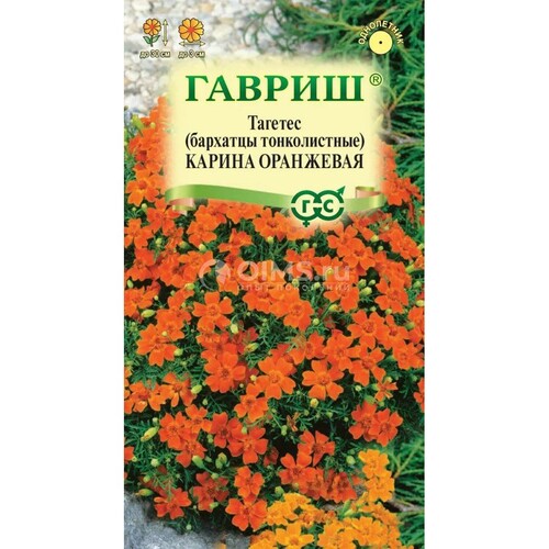 Бархатцы тонколист. Карина оранжевая (Тагетес) 0,05 г